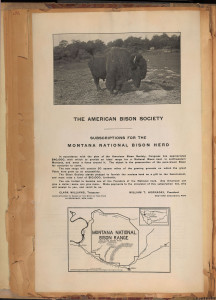 Scanned page from Founding of two national bison herds. William T. Hornaday scrapbook collection on the history of wild life protection and extermination. Volume 2. WCS Archives Collection 1007.