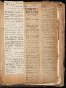 Articles announcing passage of the Bayne-Blauvelt Bill. In Hornaday Wildlife Scrapbook Collection, Vol. 3. WCS Archives Collection 1007.