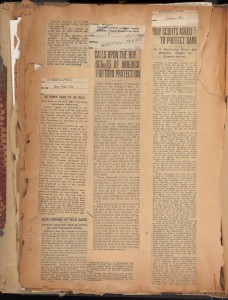 Articles on Hornaday's calls to the BSA. In Hornaday Wildlife Scrapbook Collection, Vol. 3. WCS Archives Collection 1007.