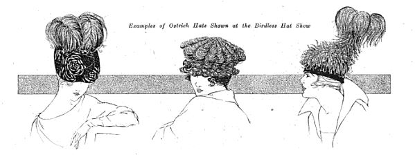 Image from "Audubon Couldn't Criticize these Hats." Review of the birdless hat show in Millinery Trade Review, December 1917.