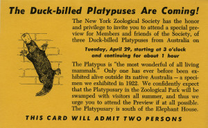 2016-BZ-Events-1947-PlatypusaryExhibitInvitation.jpg