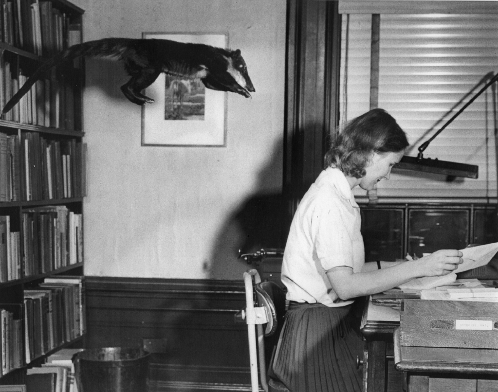 Snoopy the coati with Education staff member, 1956. Sam Dunton © WCS