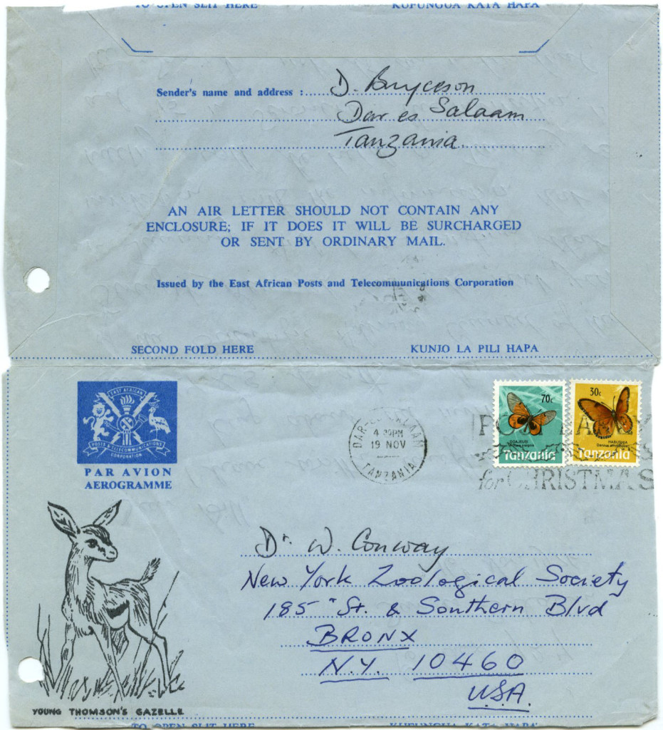 An airmail sent by researcher Derek Bryceson in Tanzania to NYZS General Director William Conway in October, 1976.