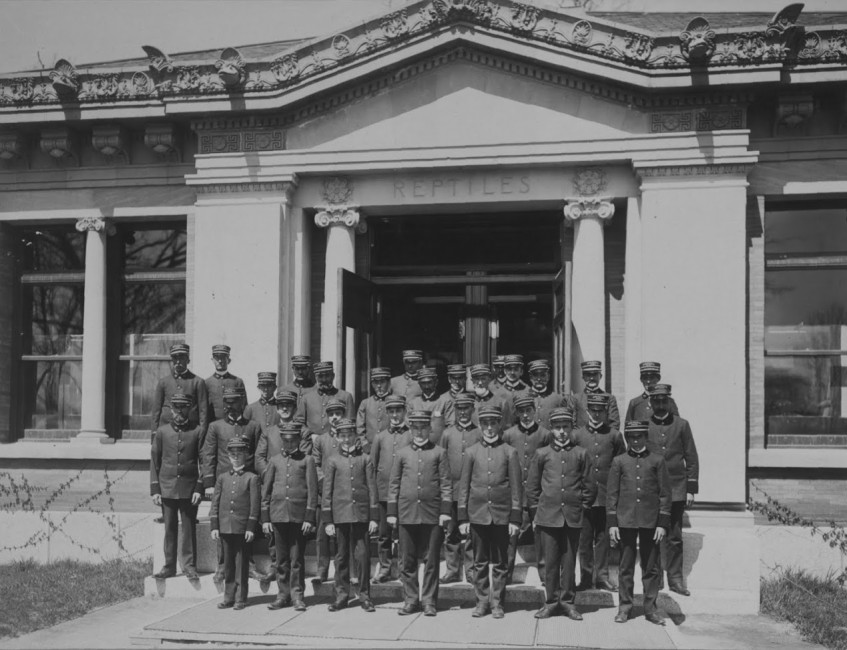 Keepers and attendants in front of the Bronx Zoo Reptile House, 1901