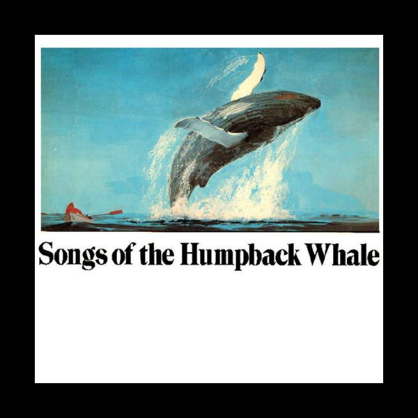 Songs of the Humpback Whale album cover, 1970, CRM Records.