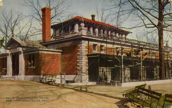 NYZS postcard featuring the Aquatic Bird House, circa 1908. WCS Archives Collection 2016