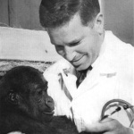 Gandal performing a checkup on a baby gorilla, circa 1966. Animal Kingdom vol. LXIX (4), August 1966.