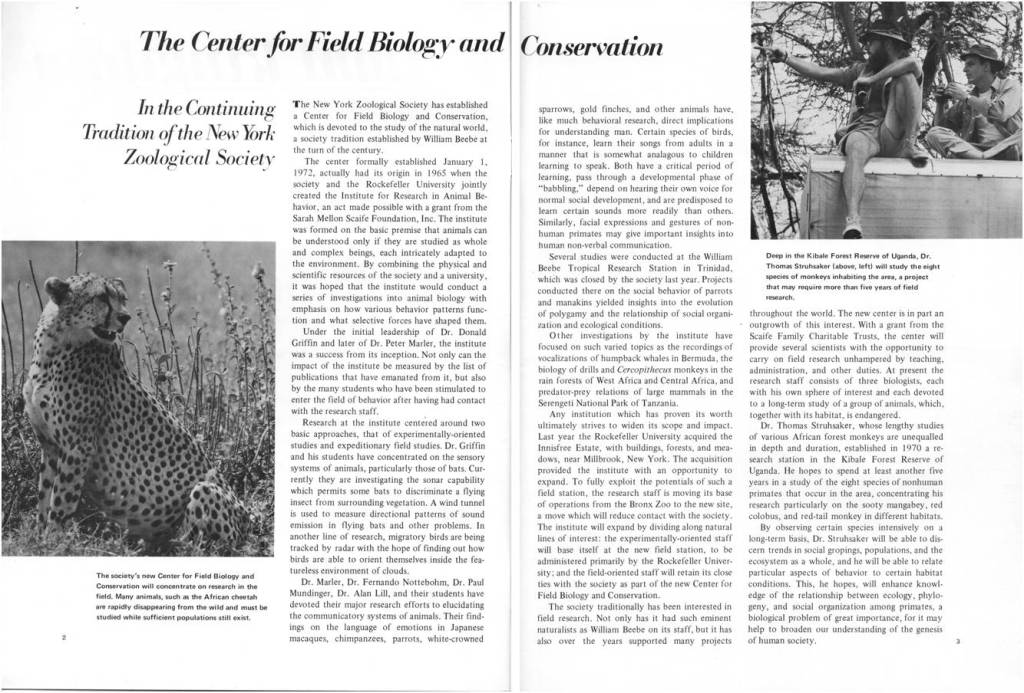 For more on the Center, you can {download} this 1972 Animal Kingdom article, found in the Collection.