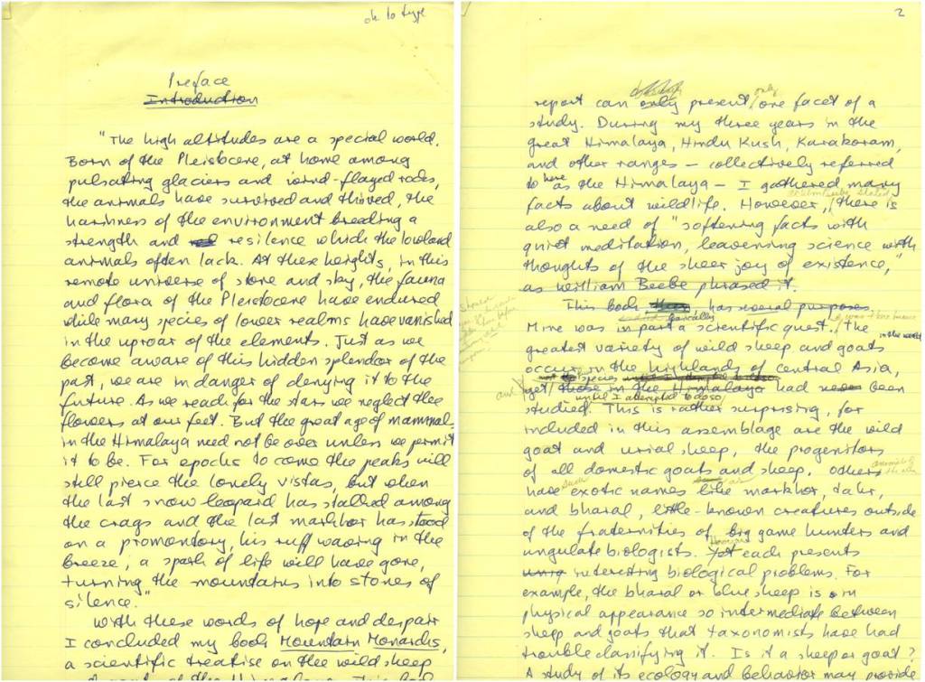 One of the chief pleasures of archival work is seeing documents written in the creators’ own hand. Here, a handwritten draft of a book on snow leopards by Dr. George Schaller.