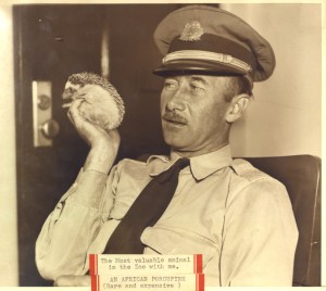 Captain Cheyne-Stout with his favorite zoo animal, Spiny, whom he kept as a pet in his office