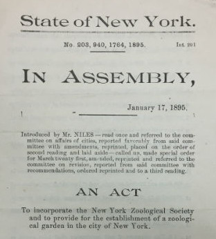 Bill to incorporate the New York Zoological Society, January 17, 1895. WCS Archives Collection 1001