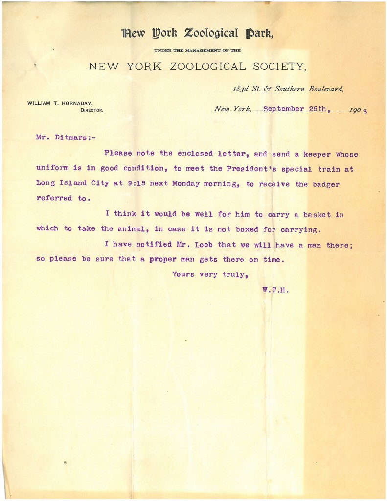 William Hornaday to Raymond Ditmars, September 26, 1903. WCS Archives Collection 1001