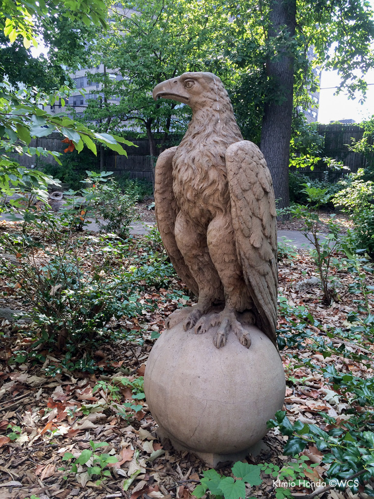 Restored eagle sculpture in front of the LaMattina Wildlife Ambassador Center at the Bronx Zoo
