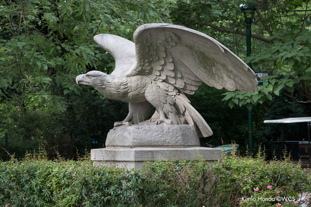 Eagle sculpture from the City Hall Post Office and Courthouse, now in front of the Bronx Zoo's Education building.