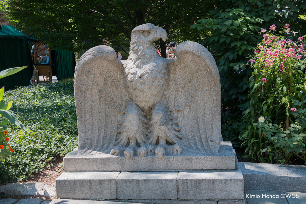 Eagle sculpture in Central Park Zoo courtyard.