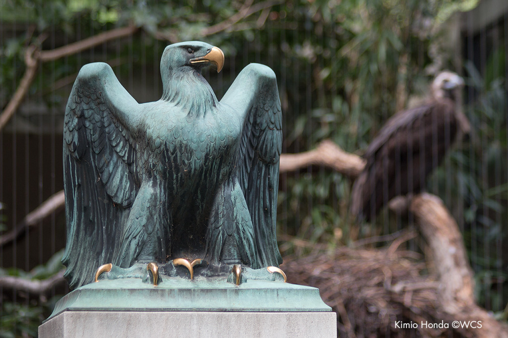 Paul Jennewein eagle sculpture in front of Bronx Zoo's Birds of Prey exhibit.