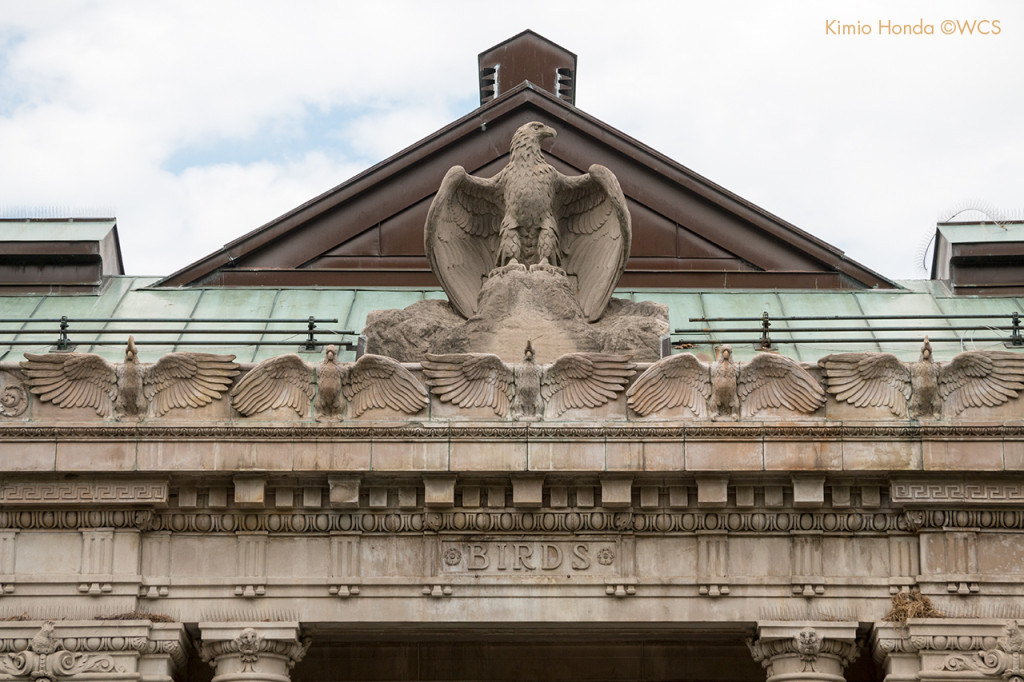 Sculptural eagle at the Bronx Zoo's original Large Bird House