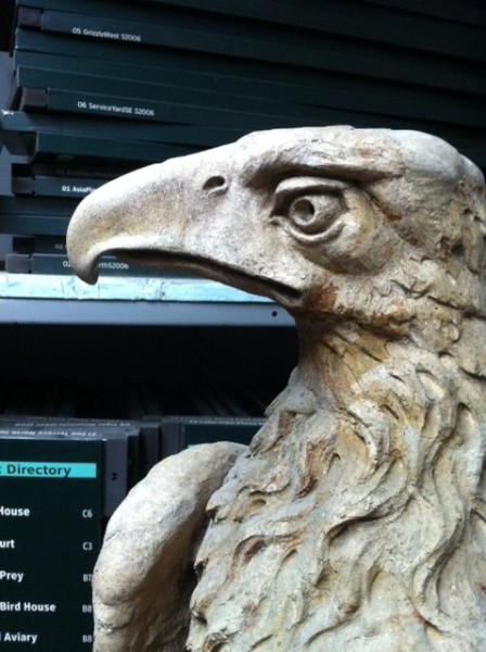 Reconstructed Eagle head in Bronx Zoo Exhibits Shop