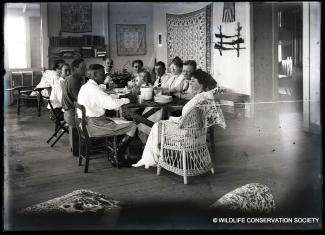 Theodore Roosevelt and his wife Edith were the first visitors to Kalacoon. Beebe is seated at the far end of the table, Mrs Roosevelt is seated nearest the camera and President Roosevelt is next to her. WCS Photo Collection