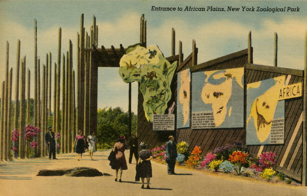 NYZS postcard featuring the entrance to the African Plains exhibit, circa 1940s. WCS Archives Collection 2016