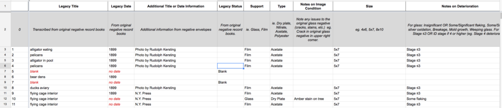 Negatives spreadsheet with data entered by interns.