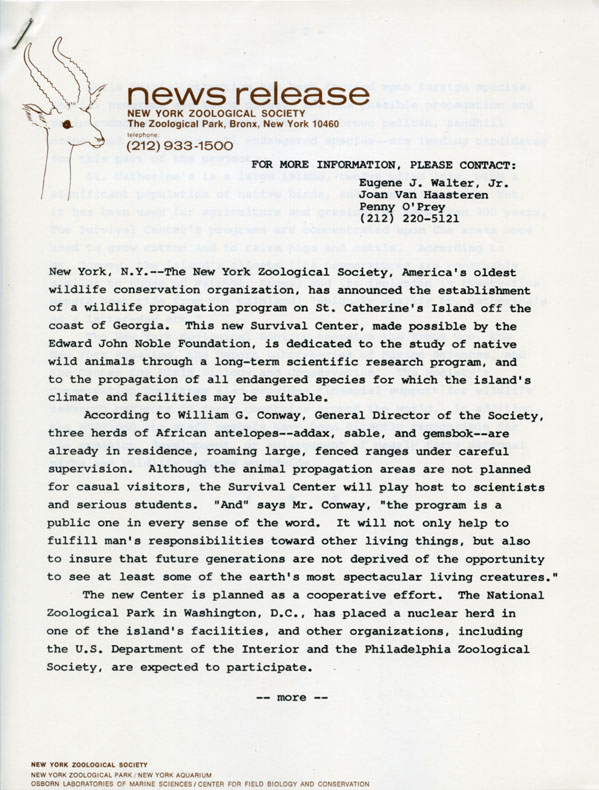 Press release for the opening of the Wildlife Survival Centre on St. Catherines Island, Georgia, page 1, circa 1974-1975. Scanned from WCS Archives public affairs collections.