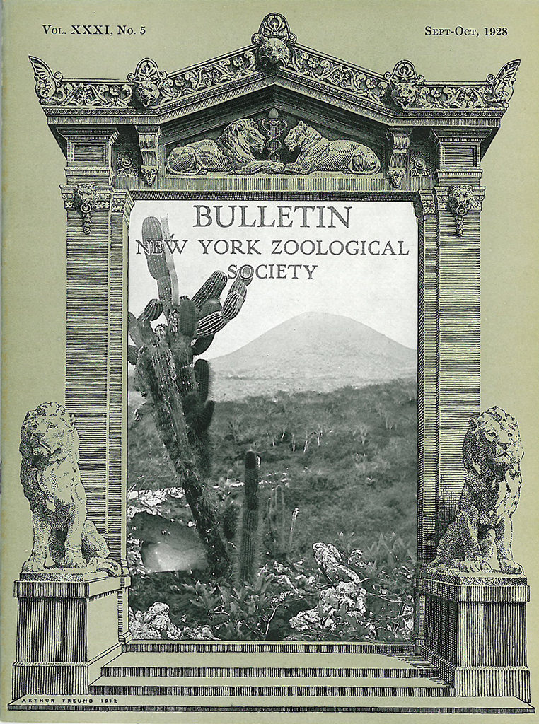 September/October 1928 cover of the Bulletin of the New York Zoological Society, featuring one of Sanborn's images from the Galapagos expedition