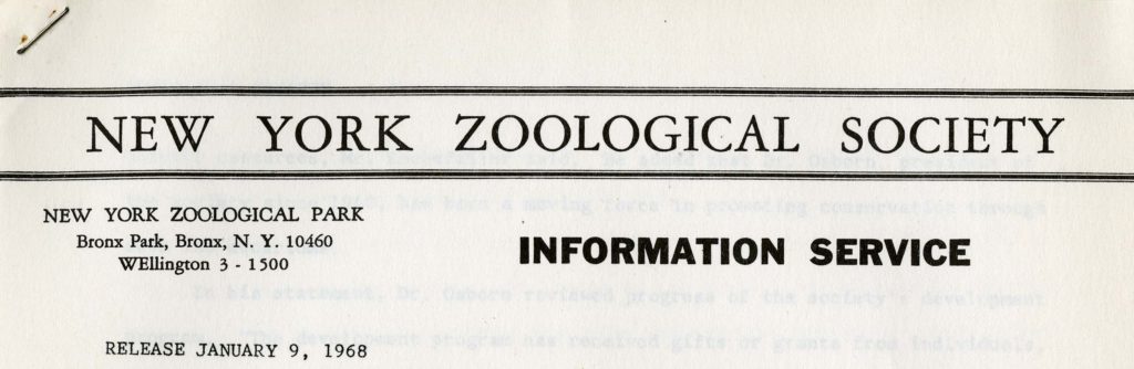 NYZS press release, 1968. Scanned from WCS Archives Collection 2032.