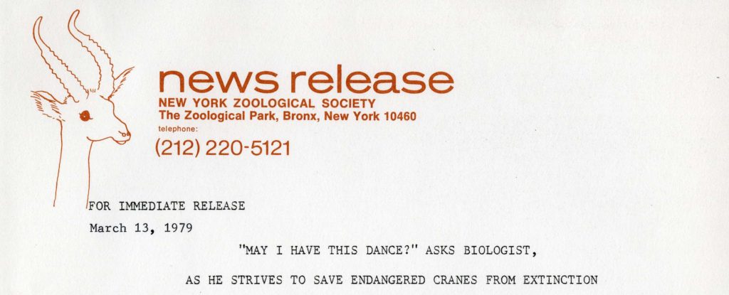 NYZS press release, 1979. Scanned from WCS Archives Collection 2032.