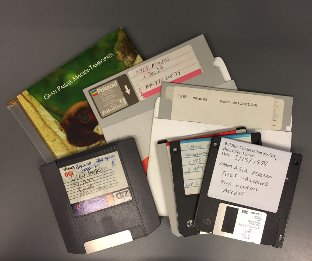 A few of the legacy digital media items from the WCS Archives. 