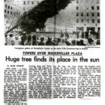 Excerpt from Mark Finston's article, “Towers Over Rockefeller Plaza: Huge tree finds its places in the sun” published in the Newark Star-Ledger on December 2, 1969. Text reads: “When last year's Christmas tree was hoisted, a small owl, which had apparently been living in the tree, and which had not emerged during the long ride from Canada, let out a screech. The owl was donated to the Bronx Zoo. No such animal life was discovered in this year's tree...”  From a clippings file titled "Birds, 1969". Scanned from WCS Archives Collection 2032.