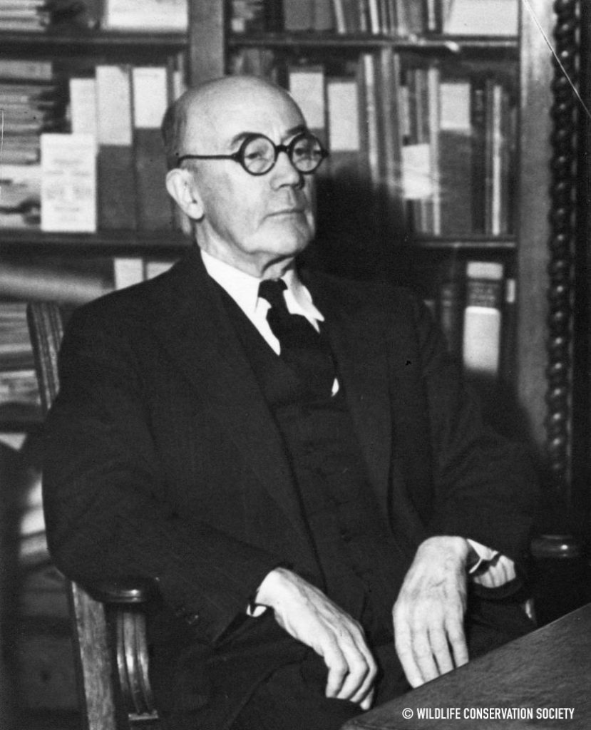 New York Aquarium Director, Charles Haskins Townsend Records WCS