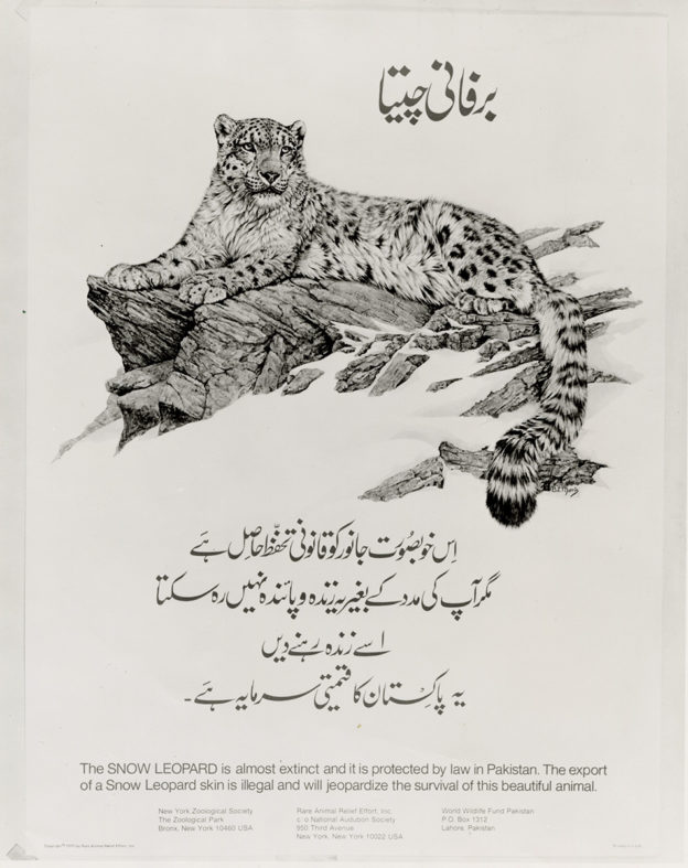 World Snow Leopard Day [Instagram] | WCS Archives Blog